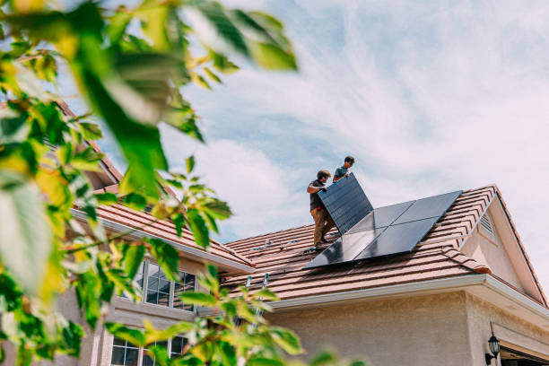 Best Chimney Flashing Repair  in Williamson, WV